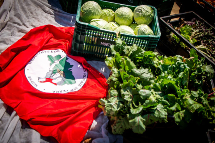 2021-09-07_Grito-dos-excluidos_MST_Brasilia_DF_Foto-Janelson-Ferreira-3