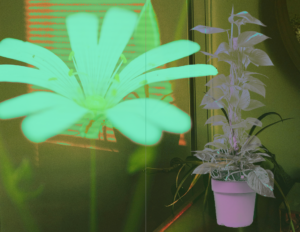 delfina-filloy-portada